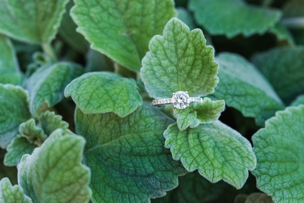 national-gallery-of-art-engagement-ring-detail-leaves